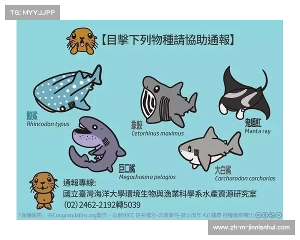 青岛猛鲨杯因潮汐调整赛程 提前一小时全员通过变动方案 青岛猛鲨杯因潮汐调整赛程 提前一小时全员通过变动方案